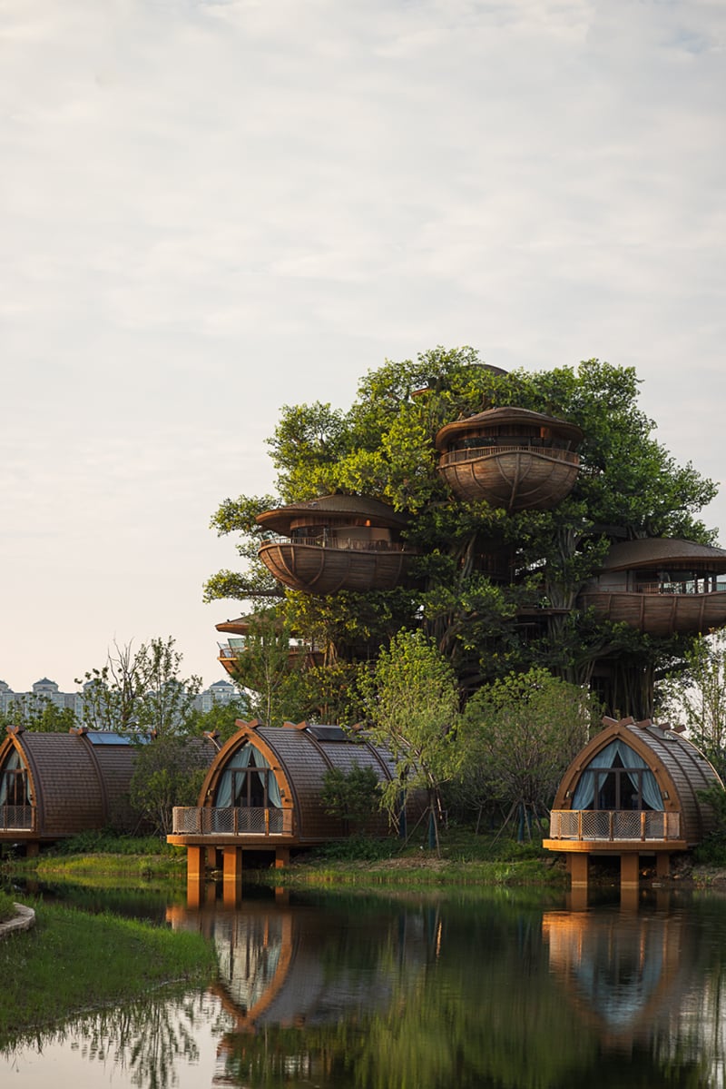 国际认可！武汉城建开元森泊度假乐园斩获2025伦敦设计奖铂金奖